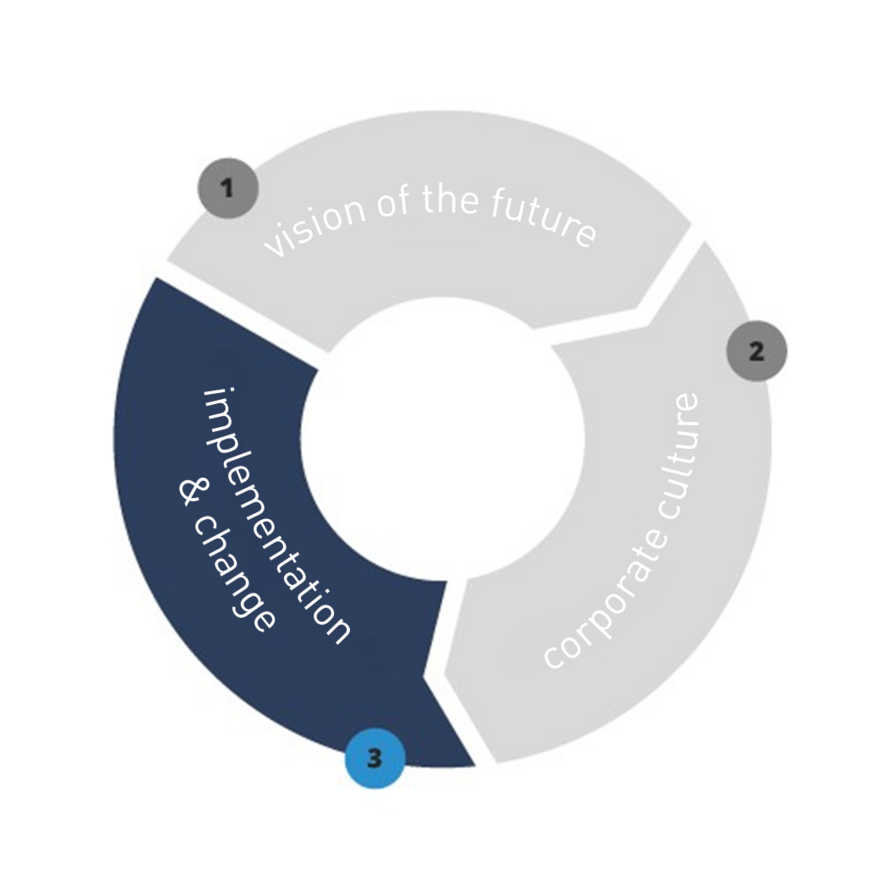implementation & change
